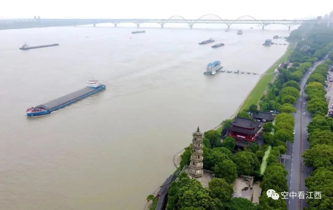 最新长江九江段水位解析与关注