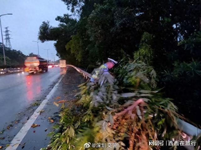 深圳市暴雨实况及最新情况分析