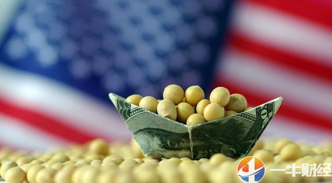 中国最新大豆采购美国大豆,自信与成就感的转变之路