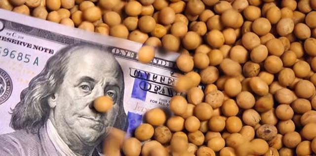 中国最新大豆采购美国大豆,自信与成就感的转变之路