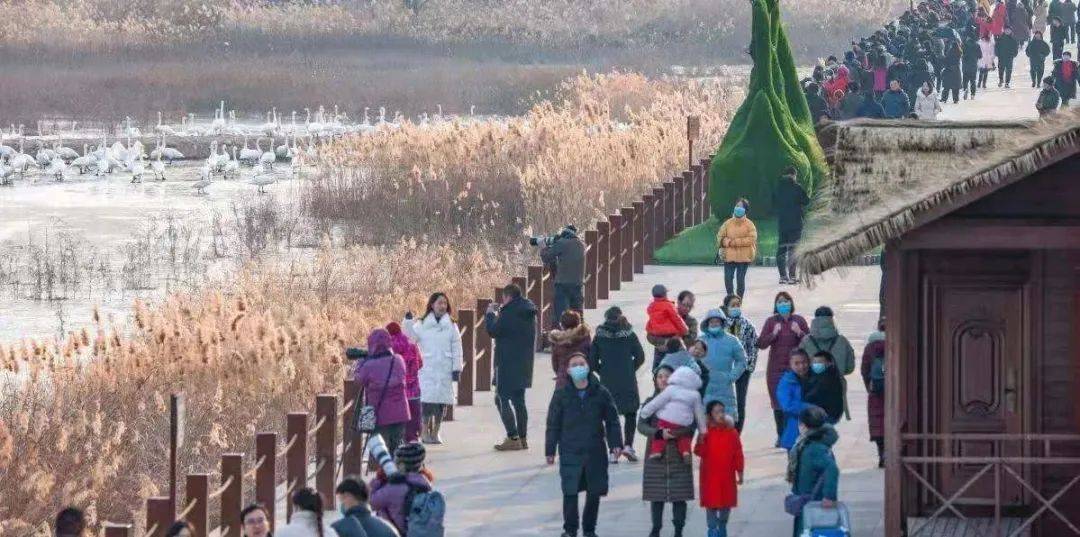 东宁疫情最新进展,自然美景中的疗愈之旅,重拾内心宁静的曙光