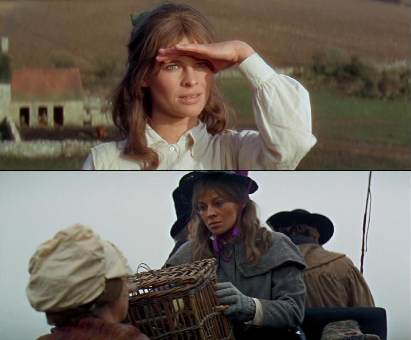 动漫斗罗大陆最新视频,自然美景的心灵探索之旅