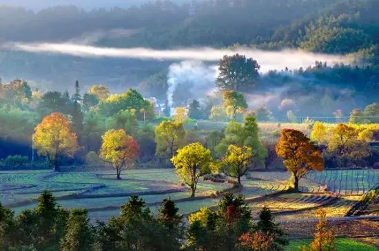 耳伴最新版本,自然美景的轻松之旅