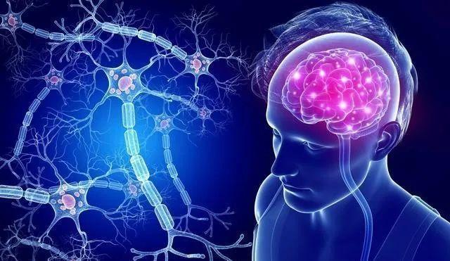 行冠病毒最新动态,多方观点分析与个人立场阐述