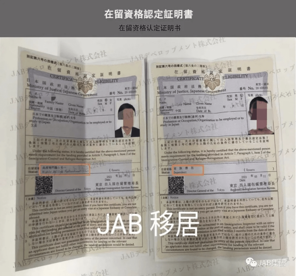 日本签证最新政策疫情解读与案例分析,全面梳理与深度探讨