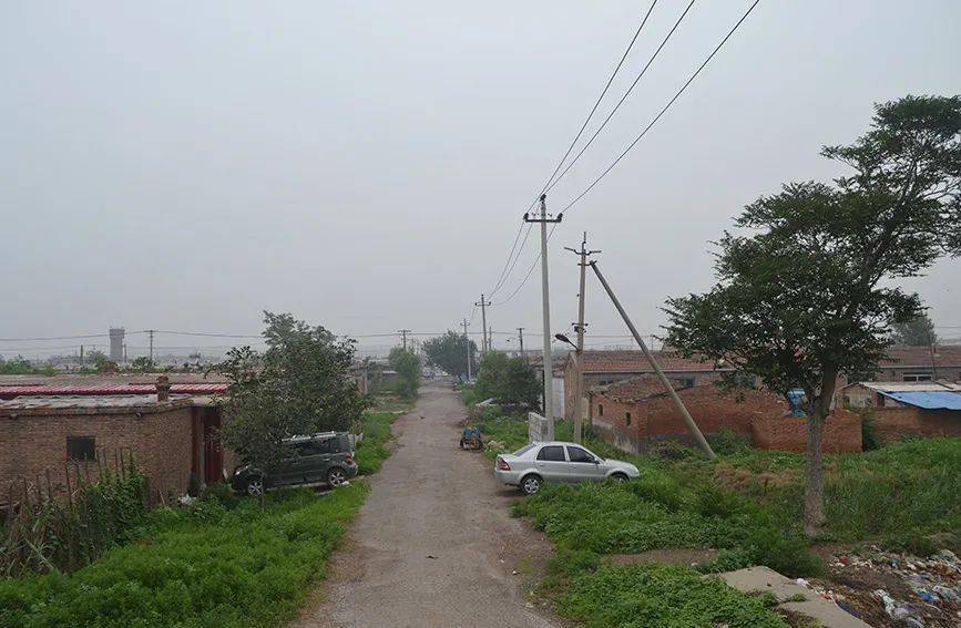 农民牛二条最新视频,乡村变迁与生活实貌的探讨与观察