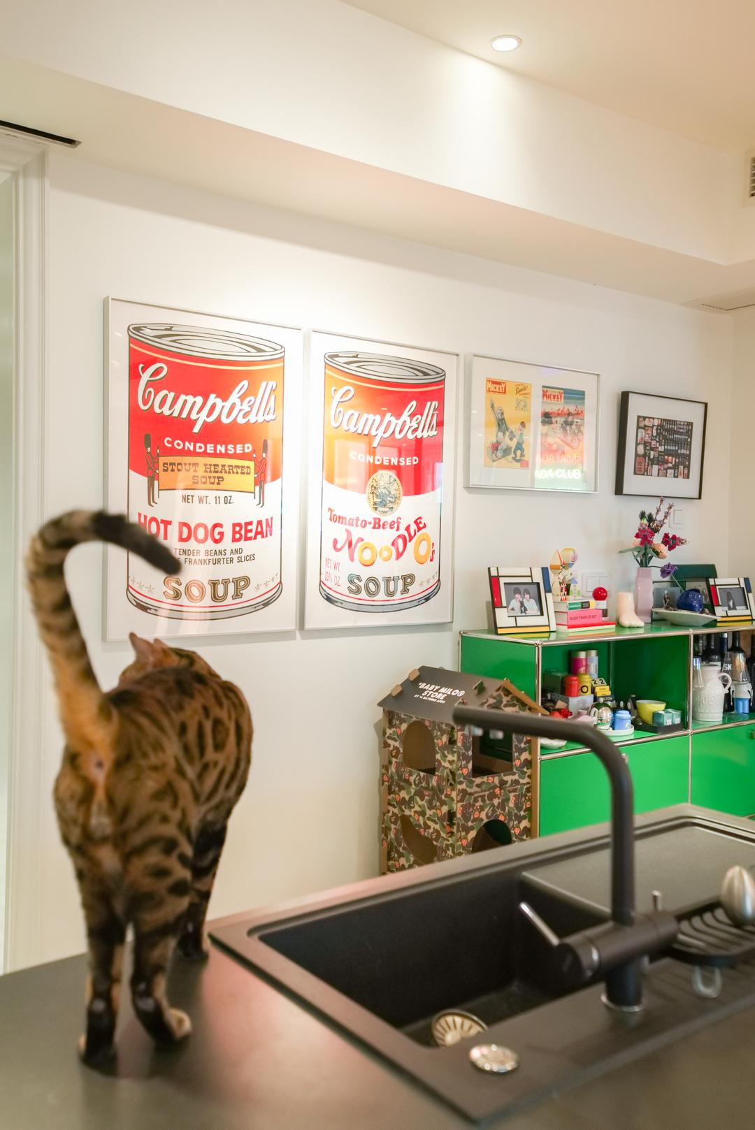 四房播最新地址,变化中的学习,塑造自信与力量的未来之路