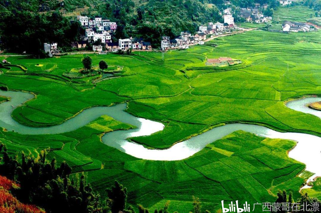 大邑城市绿洲最新动态，启程自然美景探索之旅