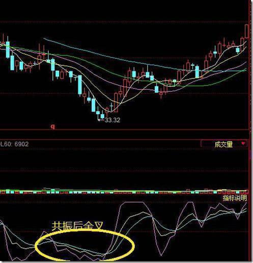 同花顺财经石油最新消息,心灵与自然的奇妙旅行启程