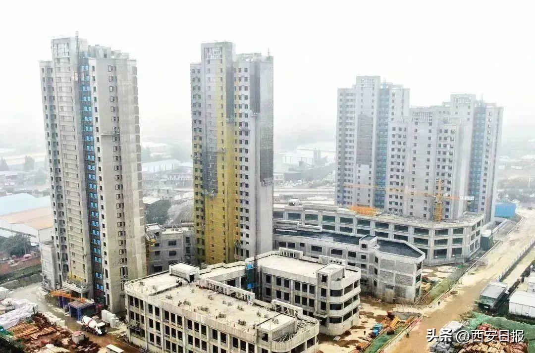 东临区最新进展更新概况