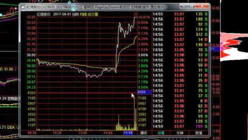 新手入门指南,最新股市资金流入动态解析