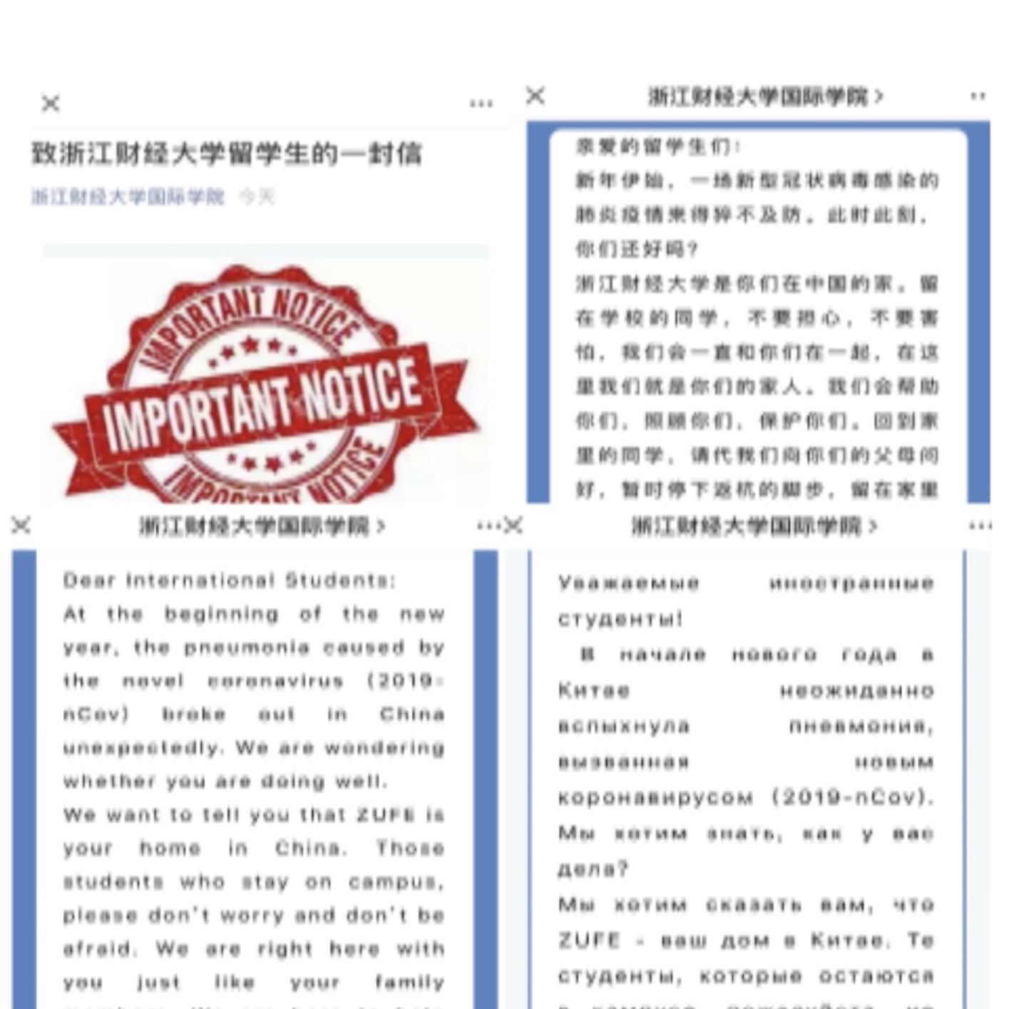 浙江省疫情最新通报,了解与应对疫情的步骤指南(适用于初学者与进阶用户)