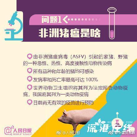 缅甸非洲猪瘟最新动态,疫情持续引发关注