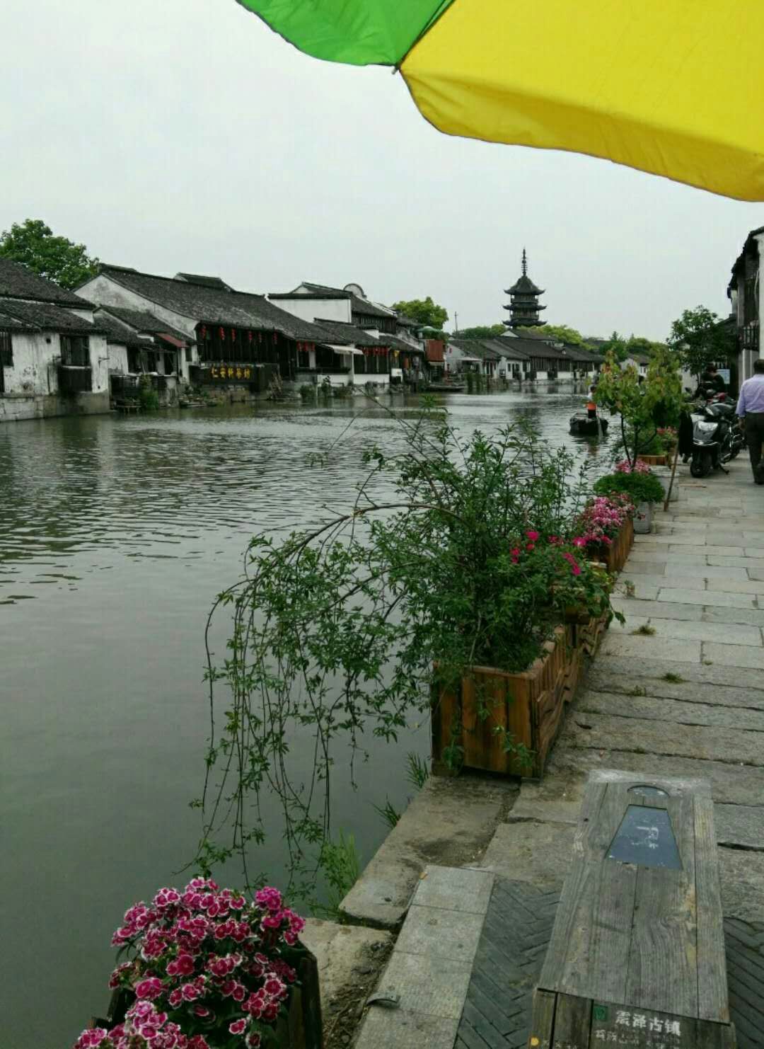 震泽最新楼盘,自然美景之旅与内心平静的探寻