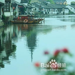 震泽最新楼盘,自然美景之旅与内心平静的探寻