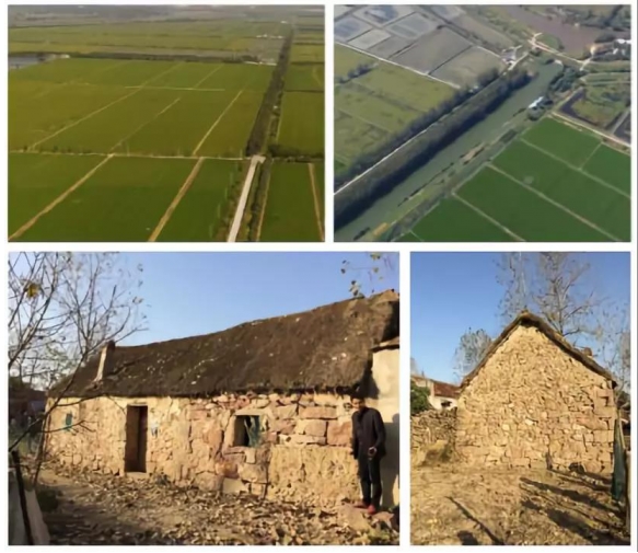 园方最新版深度解析,背景、重要事件与地位探究