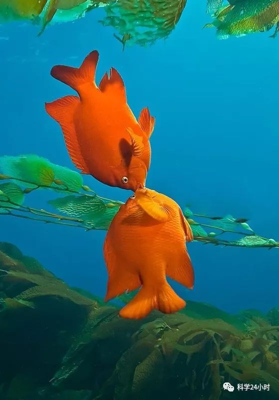 弘幸最新作品,跃动知识海洋的自信成就之旅