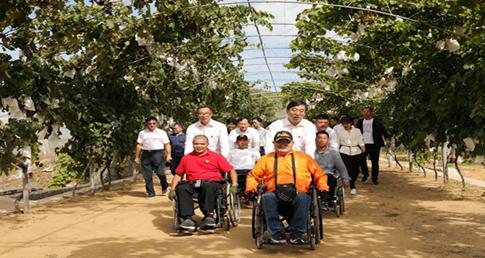 最新科技轮椅,观点论述与探讨