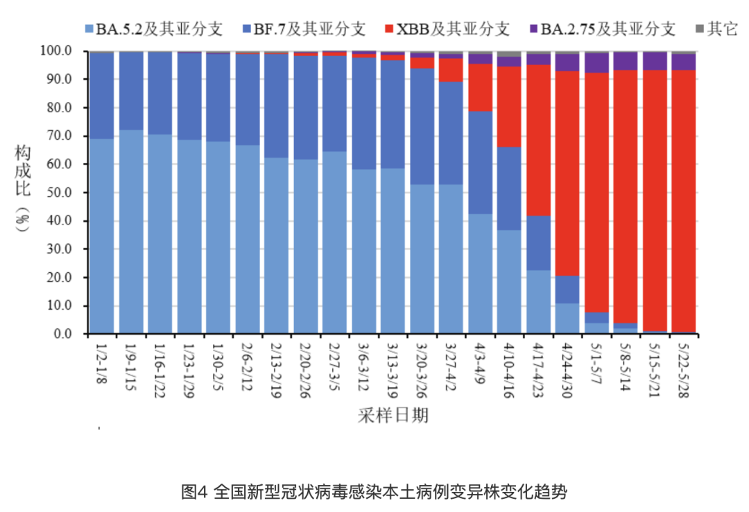 美国最新疫情数据全面解析与洞察,新增病例、传播趋势及影响分析