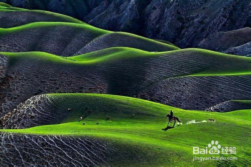 十月疫情数据与探索自然,疫情之下寻找内心平静的旅行之道