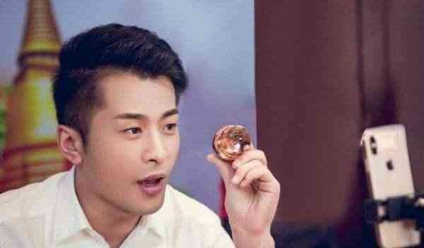 辛巴燕窝事件揭秘,友情与陪伴的温馨故事背后的真相