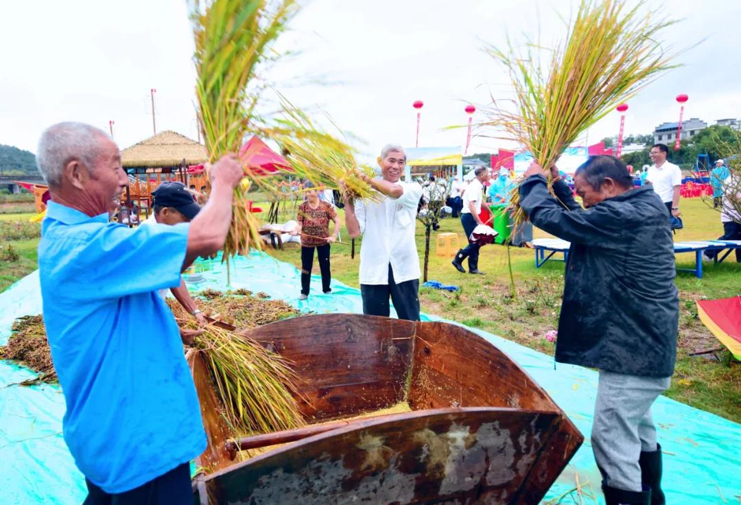 揭秘2021年最新旅游政策,三大要点开启旅游新时代