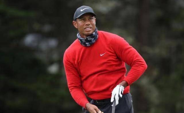 伍兹最新动态,恢复与成长中