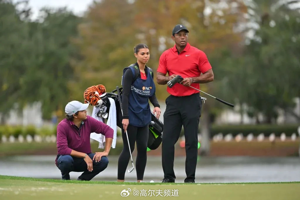 伍兹最新动态,恢复与成长中