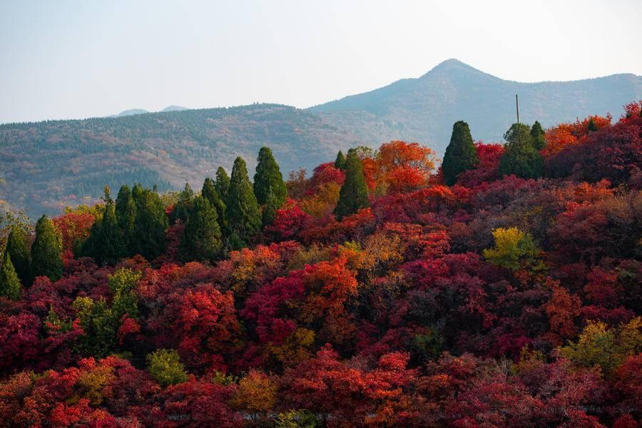 东方最新版,小巷深处的音乐宝藏探秘