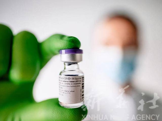 辉瑞最新新冠疫苗,一场自然之旅,探寻内心平静远离尘嚣的奇妙体验