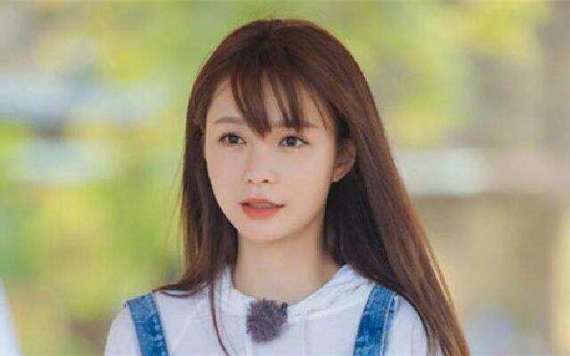 沈梦辰最新评论揭秘,小巷深处的隐藏美食探秘之旅