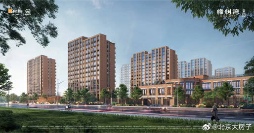 北京最新楼盘探索,购房指南与详细步骤解析