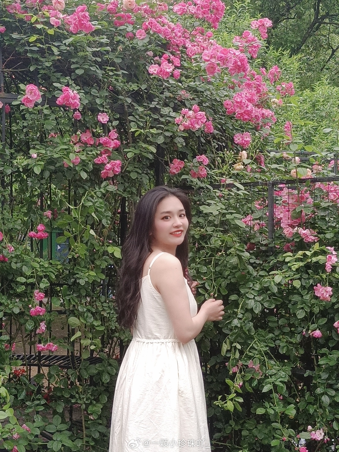 凌敏馨最新动态揭秘,最新进展与花事分享🌸