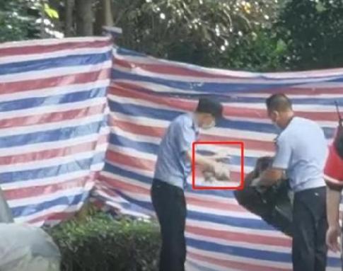 杭州失踪女子事件最新进展,如何关注并理解社会热点事件的影响与真相