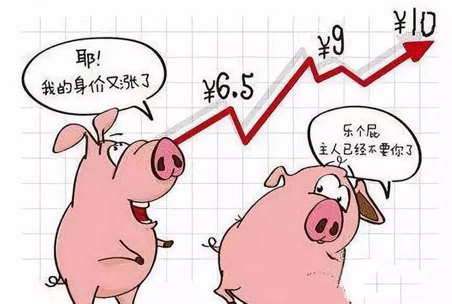 明天猪价最新价,友情与陪伴的温馨故事开启新篇章