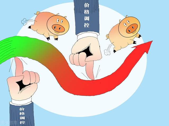 明天猪价最新价,友情与陪伴的温馨故事开启新篇章