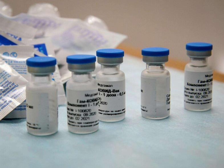 印度疫苗最新动态,与自然美景的旅行对话之旅