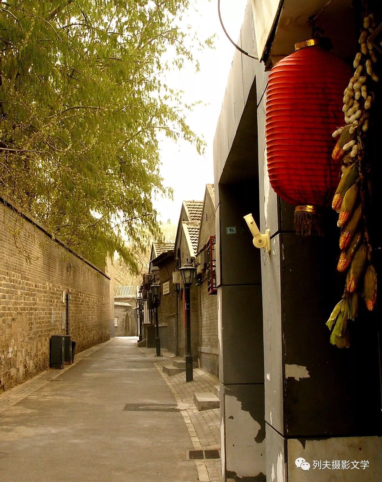 最新版铸安,小巷深处的独特风味美食