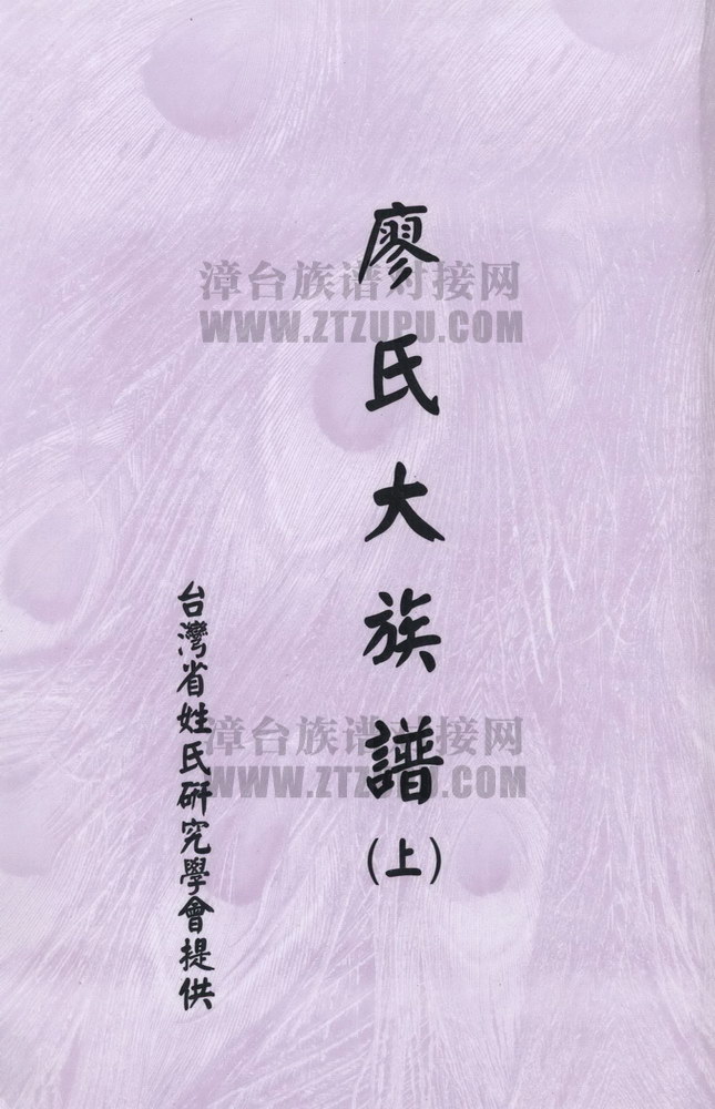 最新廖氏族谱,探寻千年家族脉络,传承灿烂文化