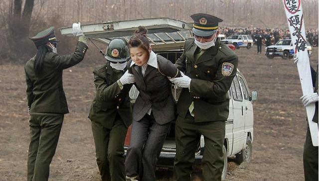 死刑犯最新动态,心灵与自然的深度对话之旅