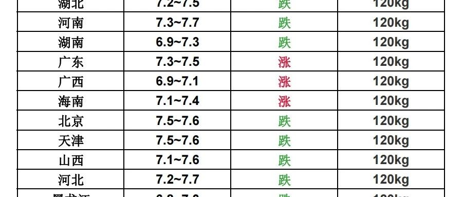 北京最新猪价行情探秘,小巷猪肉香闻讯而动