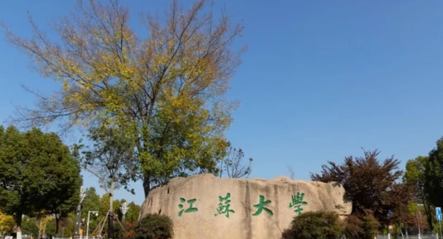江苏大学最新事件,知识与自信的汇聚盛会