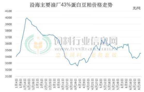 今日豆价最新行情,温馨日常中的豆类市场动态