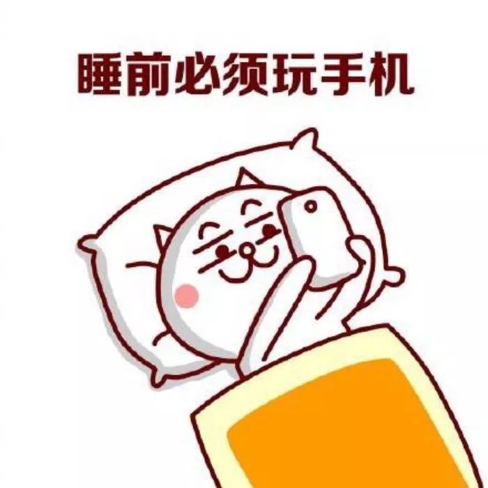 抖啪最新版,小城的温馨日常记录