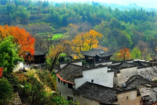 岳风最新爱豆,与大自然共舞,探寻内心宁静乐章的旅程