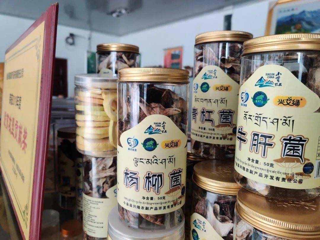 印度最新确诊人数背后的故事,小巷独特小店的角度观察