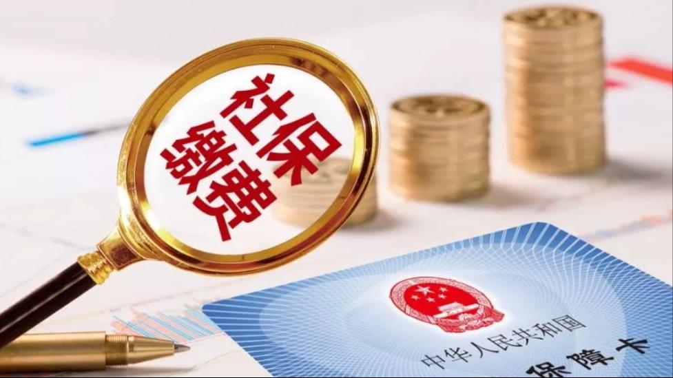 最新社保缴纳指南,轻松掌握缴纳步骤,保障您的权益!