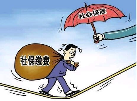 最新社保缴纳指南,轻松掌握缴纳步骤,保障您的权益!