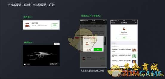 带你探索未知世界的最新公众号