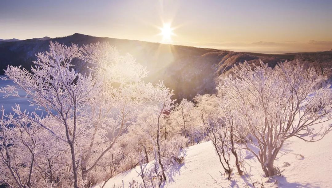 北冥陌顾欢颜,自然美景的治愈之旅最新章节